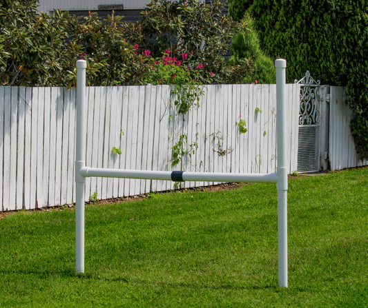 Rugby Mini Backyard Goal Posts